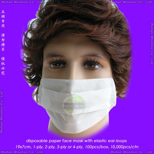 Disposable Nonwoven PP Beard/Anti-Dust Free/Proof/1-Ply 2-Ply 3-Ply 4-Ply Paper Face Mask with Elastic Ear-Loop/Head-Loop for Food Processing Industry Service